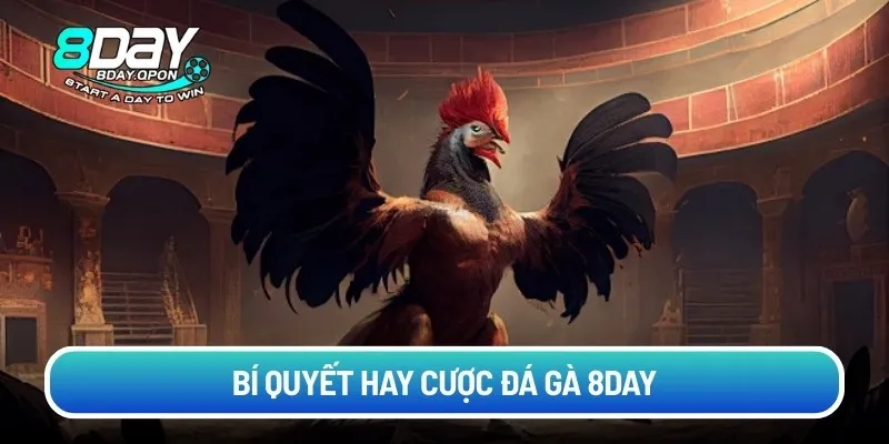 Bí quyết hay cược đá gà 8day