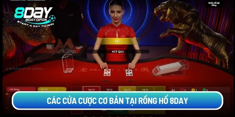 Các cửa cược cơ bản tại rồng hổ 8DAY