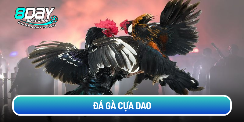 da-ga-cua-dao
