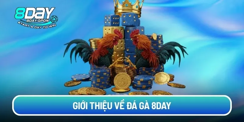 Giới thiệu về đá gà 8day