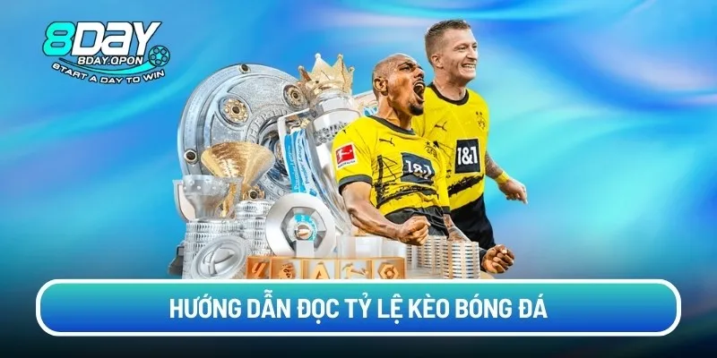 Hướng dẫn đọc tỷ lệ kèo bóng đá
