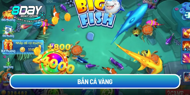 ban-ca-vang