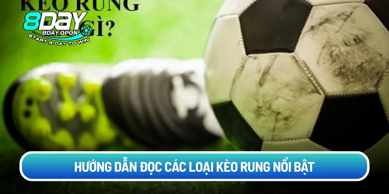 Hướng dẫn đọc các loại kèo rung nổi bật