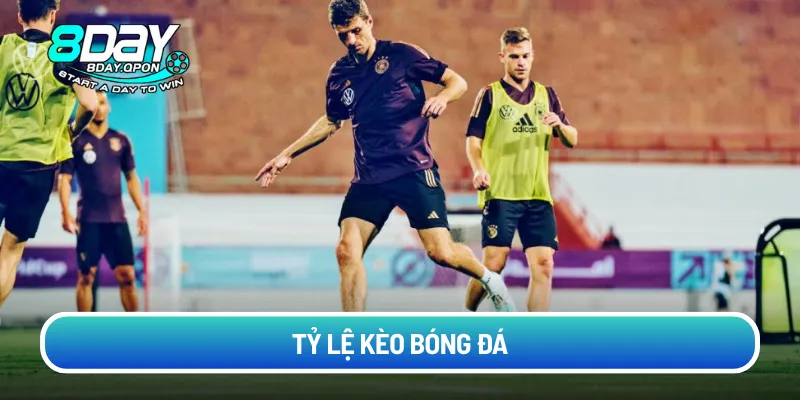 ty-le-keo-bong-da (2)