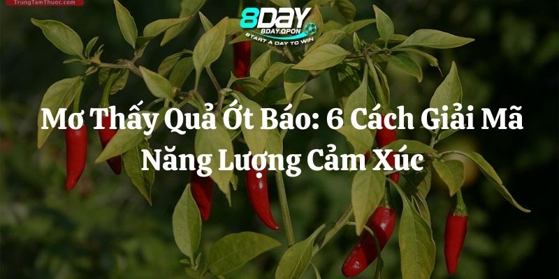 mơ thấy quả ớt 8day thumb