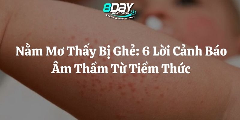 nằm mơ thấy bị ghẻ 8day thumb
