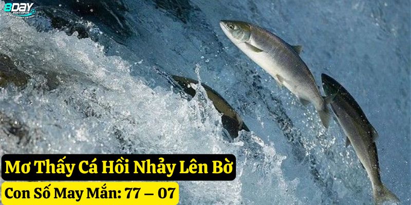 mơ thấy cá hồi 8day