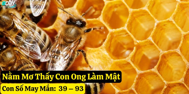 nằm mơ thấy mật ong 8day
