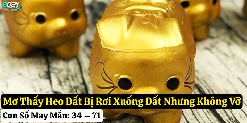 mơ thấy heo đất
