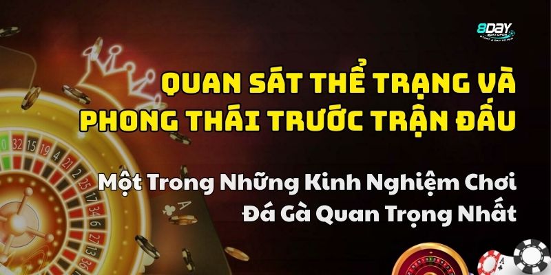 kinh nghiệm chơi đá gà 8day