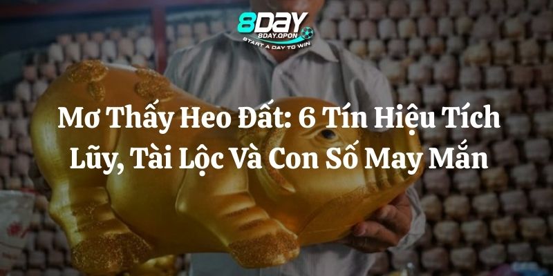 mơ thấy heo đất 8day thumb