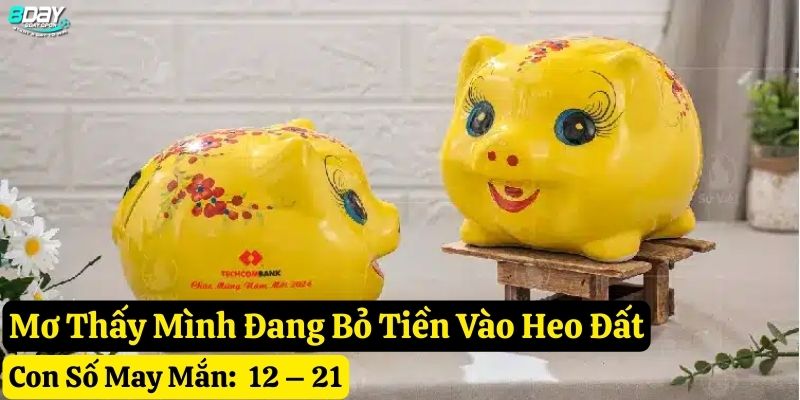 mơ thấy heo đất 8day