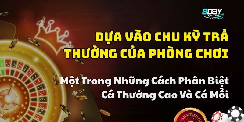 phân biệt cá thưởng cao và cá mồi 8day