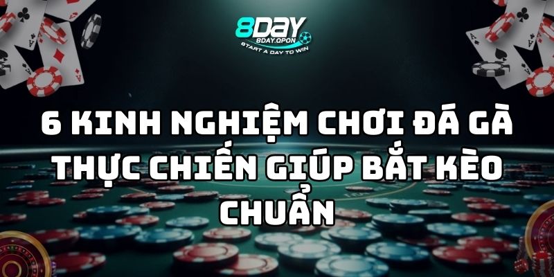 kinh nghiệm chơi đá gà 8day thumb