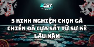 kinh nghiệm chọn gà chiến đá cựa sắt 8day thumb